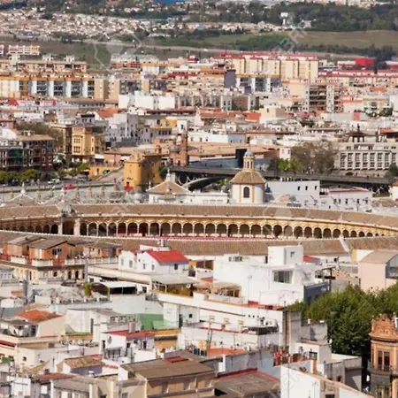 Pure Elegance And Confort Seville